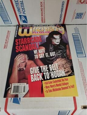 Pro Wrestling Illustrated Magazine May 1998 Sting Cover with Flair Poster ~ Cb50